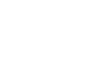 IVBGROUP Logo blanco_2@300x
